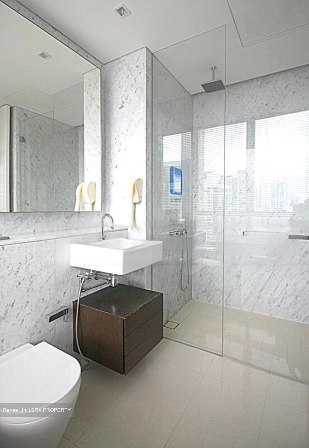 Scotts Square (D9), Apartment #480341221